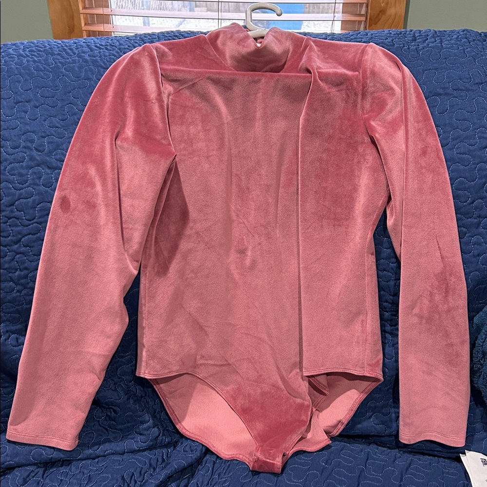 American Eagle Outfitters Pink Velvet Bodysuit